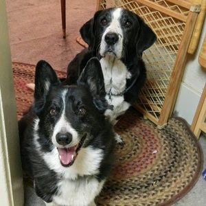 Meet your Posher, Jana